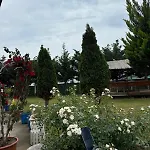 Sea View Wooden - Sokoli Horská chata Lezhë