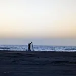 Sea View Wooden