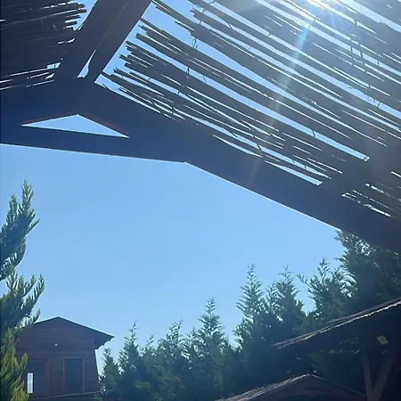 Alpehytte Sea View Wooden