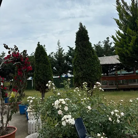 Sea View Wooden - Sokoli شاليه Lezhë
