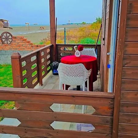 Sea View Wooden Alpehytte *