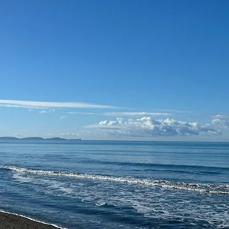 Sea View Wooden