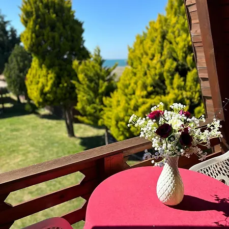 Sea View Wooden * Lezhë
