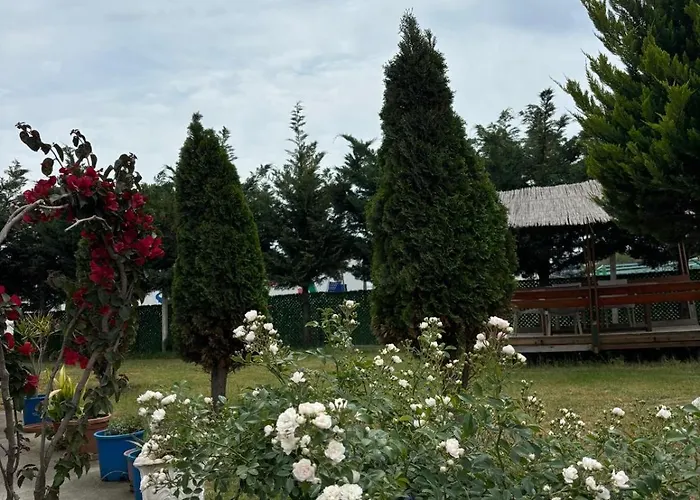 Sea View Wooden Chalet Lezhë