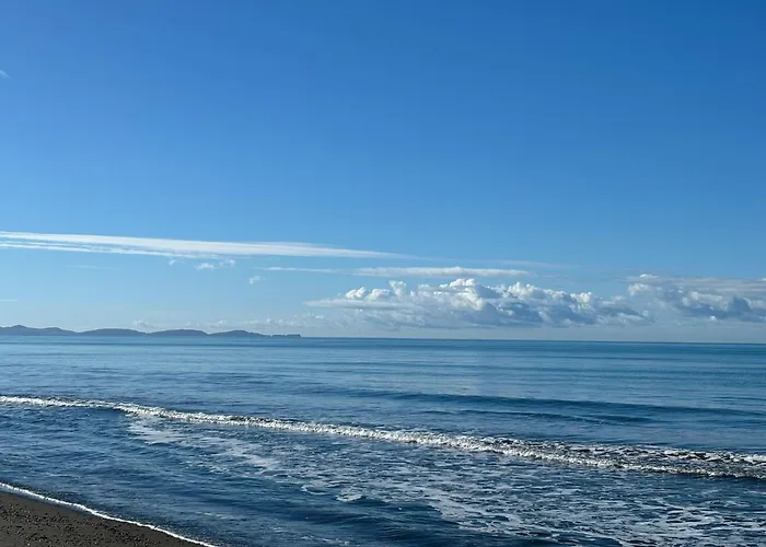 Sea View Wooden